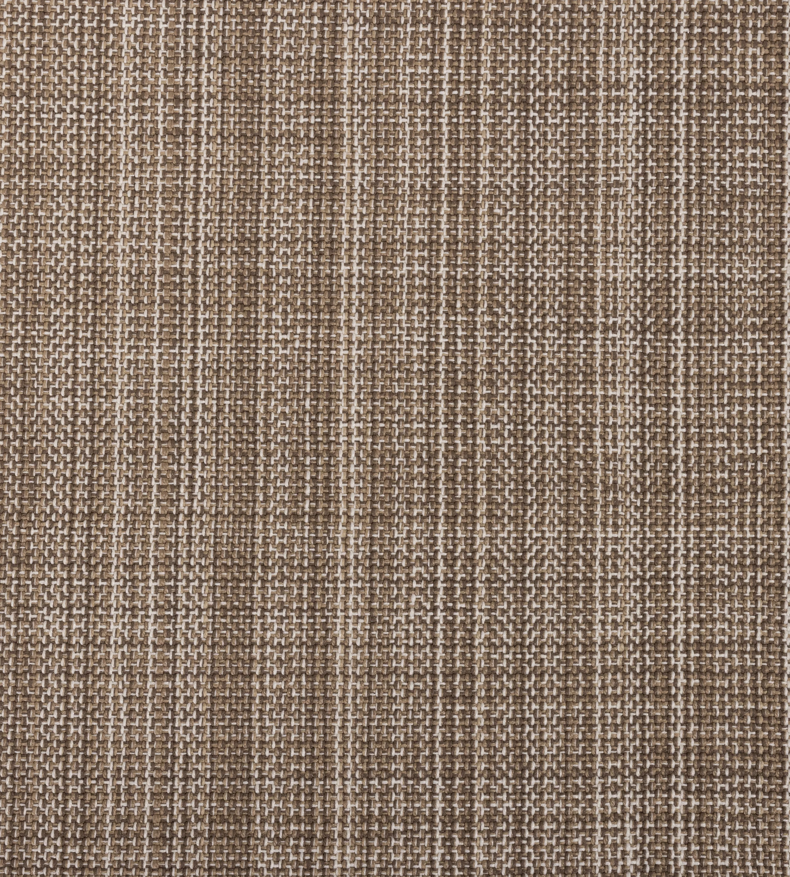 Calypso - Image 8